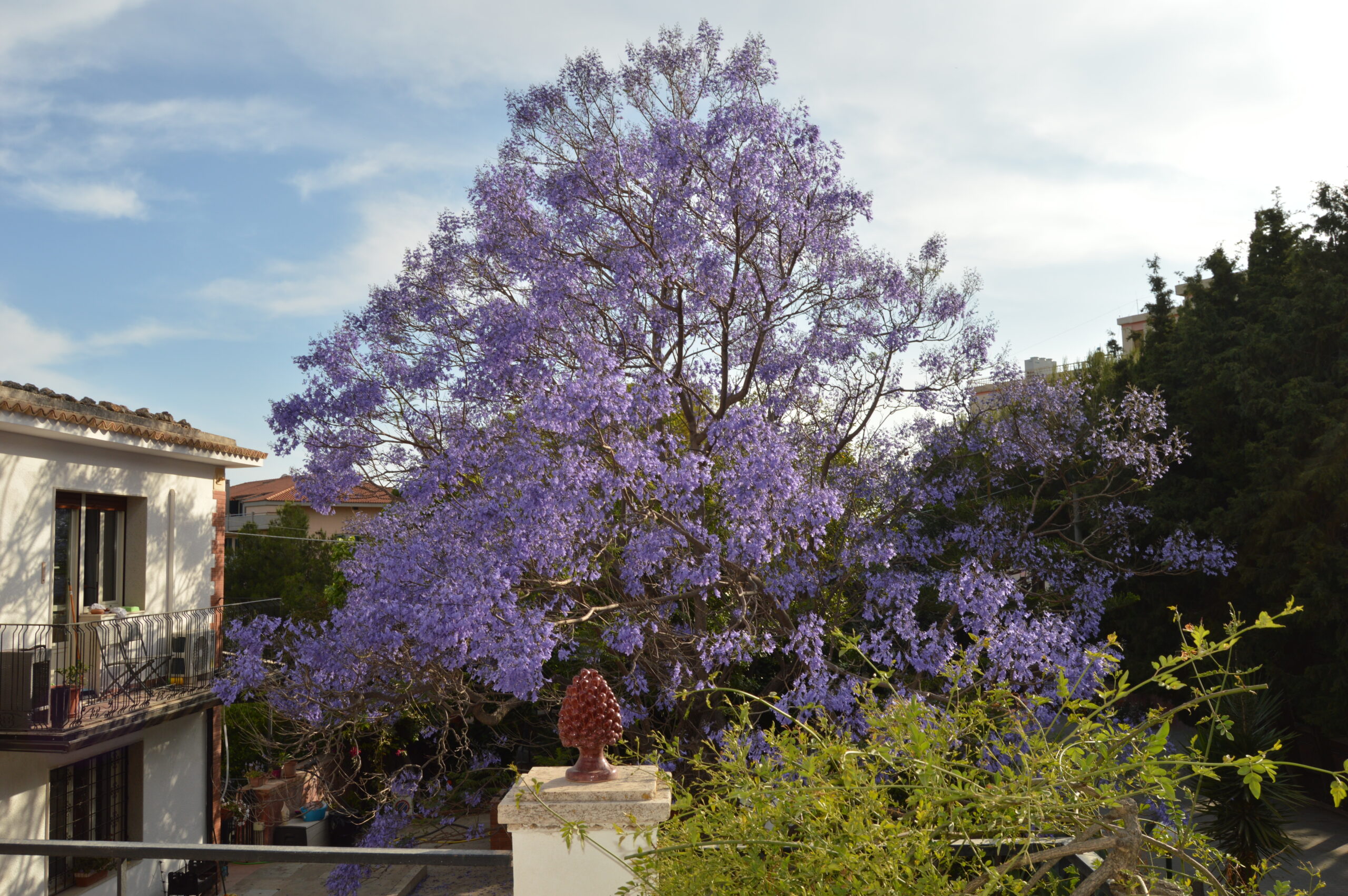 beb garden grazia noto siracusa bed and breakfast